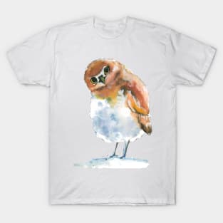 Olllie the Owl T-Shirt